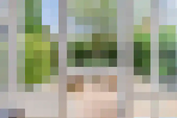 Schiphollaan 17 Nootdorp thumbnail 18