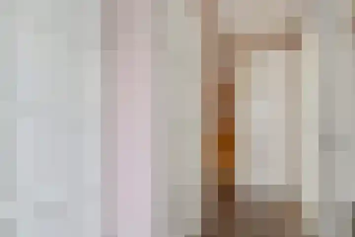 Schiphollaan 17 Nootdorp thumbnail 25