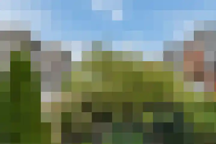 Schiphollaan 17 Nootdorp thumbnail 32