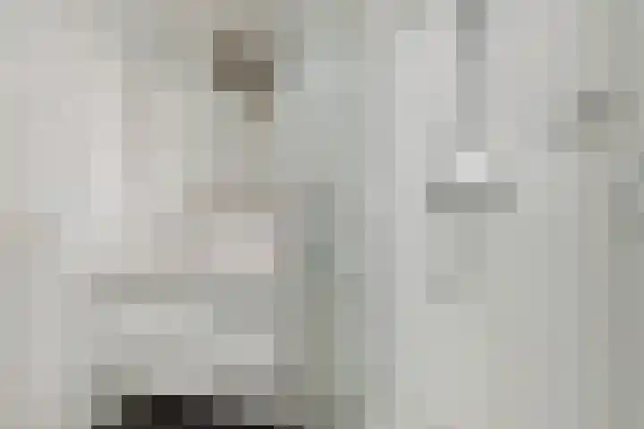 Schiphollaan 17 Nootdorp thumbnail 34