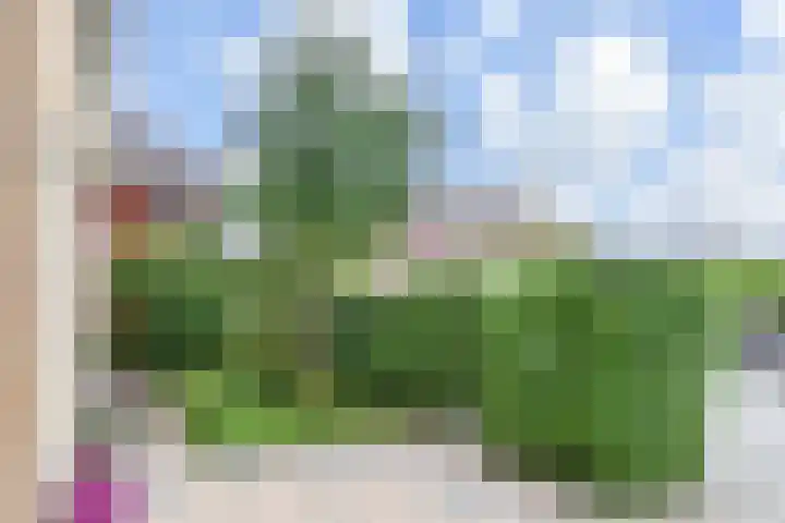 Schiphollaan 17 Nootdorp thumbnail 44