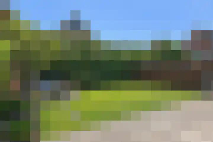 Schiphollaan 33 Nootdorp thumbnail 11