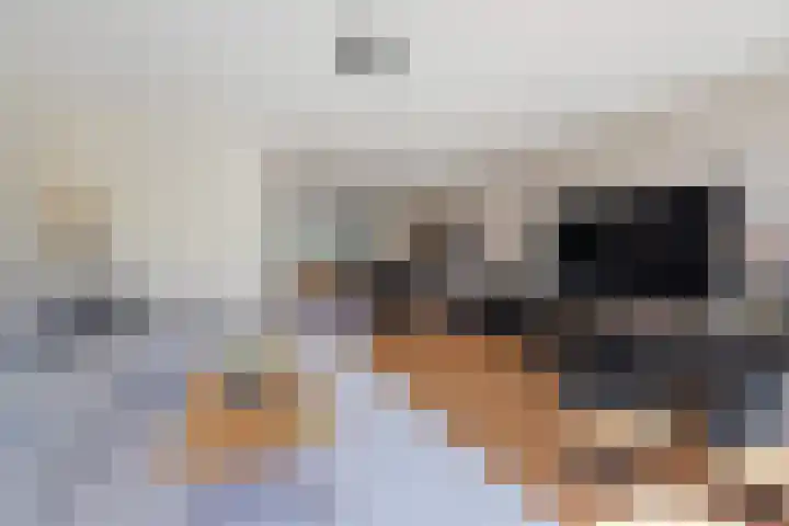 Schiphollaan 33 Nootdorp thumbnail 18
