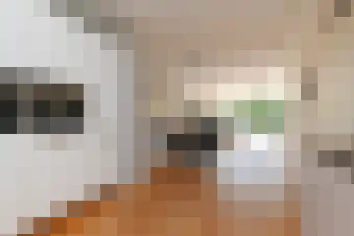 Schiphollaan 33 Nootdorp thumbnail 24