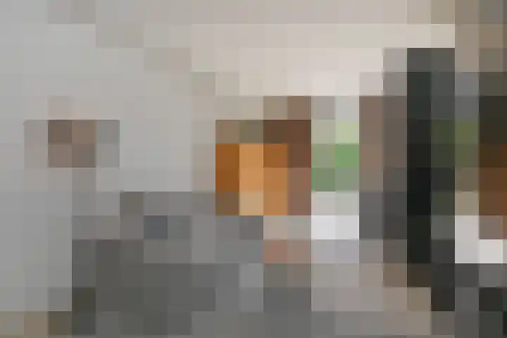 Schiphollaan 33 Nootdorp thumbnail 26