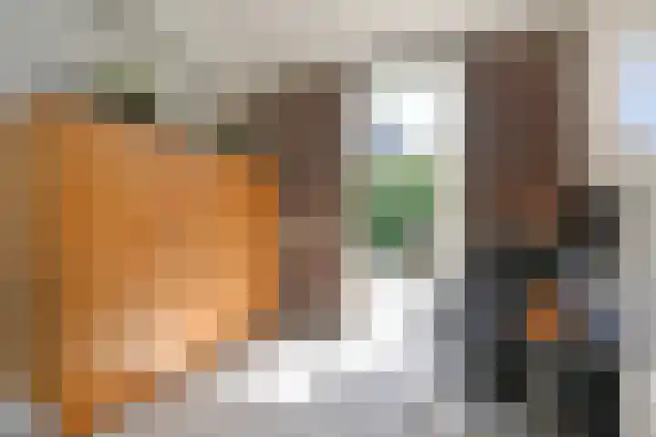 Schiphollaan 33 Nootdorp thumbnail 27
