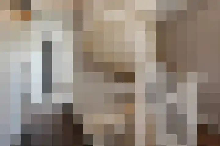 Schiphollaan 33 Nootdorp thumbnail 32