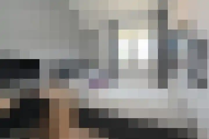 Schiphollaan 33 Nootdorp thumbnail 40