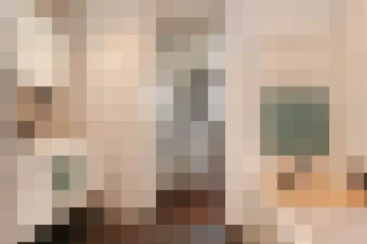 Schiphollaan 33 Nootdorp thumbnail 44