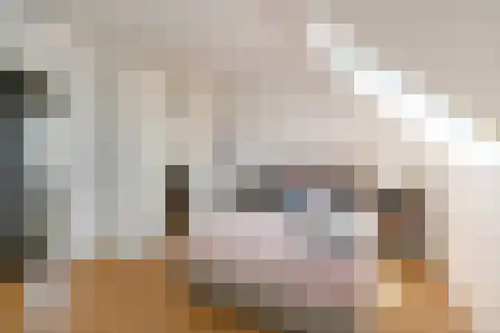 Schiphollaan 33 Nootdorp thumbnail 47