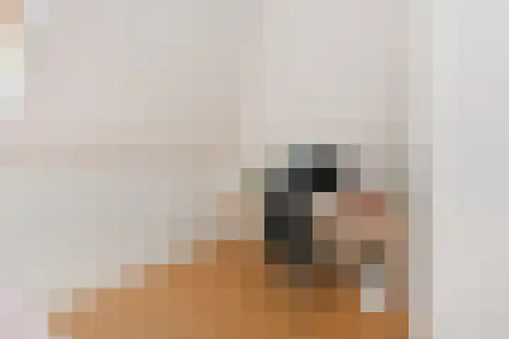 Schiphollaan 33 Nootdorp thumbnail 49