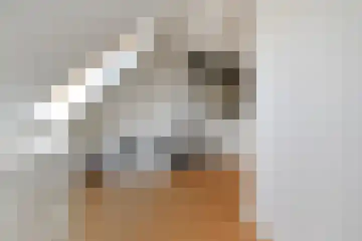 Schiphollaan 33 Nootdorp thumbnail 52