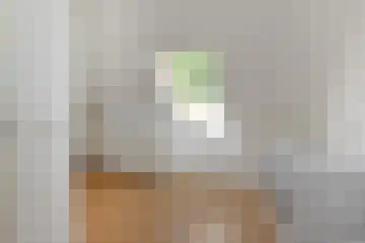 Schiphollaan 33 Nootdorp thumbnail 53