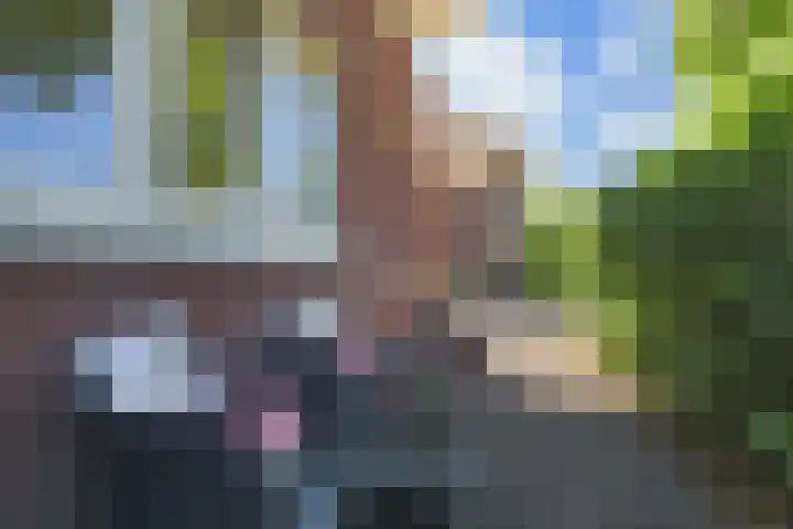 Schiphollaan 33 Nootdorp thumbnail 57