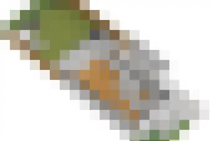 Schiphollaan 33 Nootdorp thumbnail 62