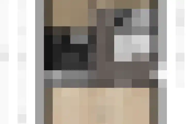Schiphollaan 33 Nootdorp thumbnail 65