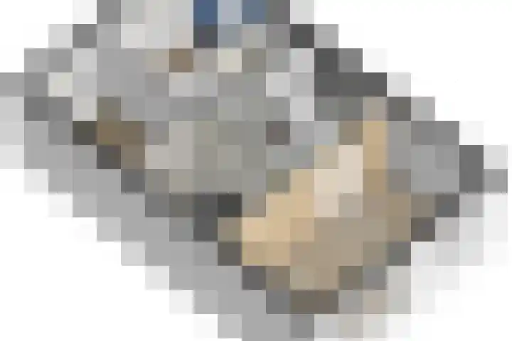 Schiphollaan 33 Nootdorp thumbnail 66