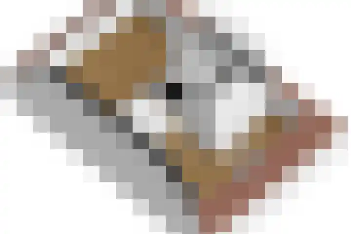 Schiphollaan 33 Nootdorp thumbnail 68