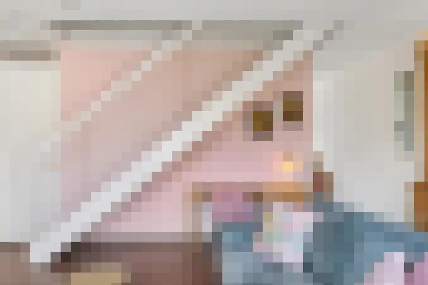 Schiphollaan 47 Tilburg thumbnail 16