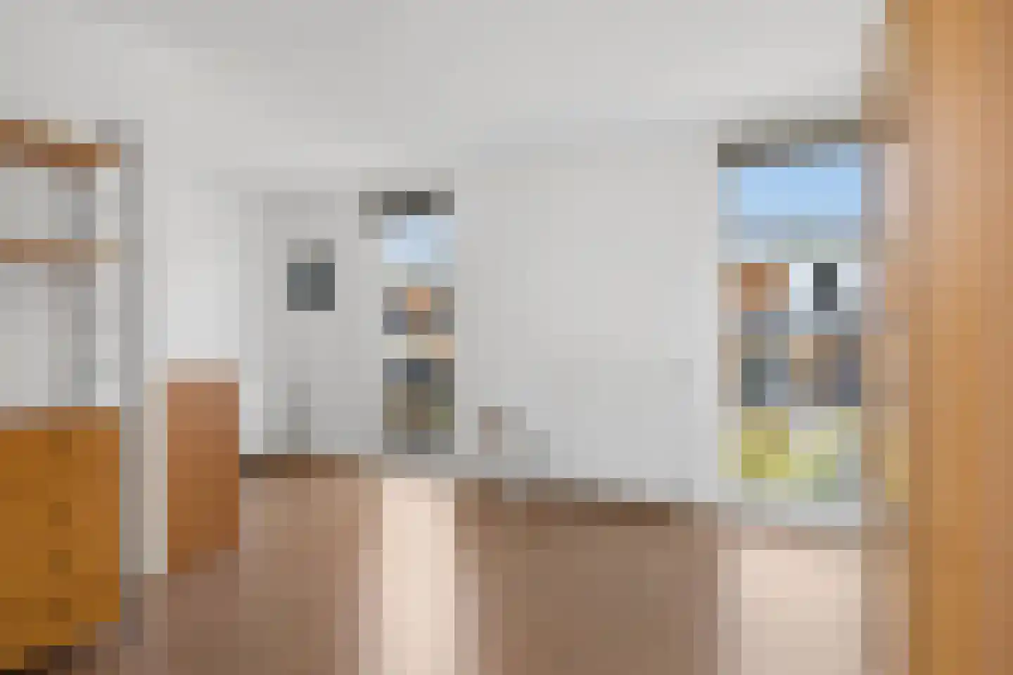 Schiphollaan 47 Tilburg thumbnail 20