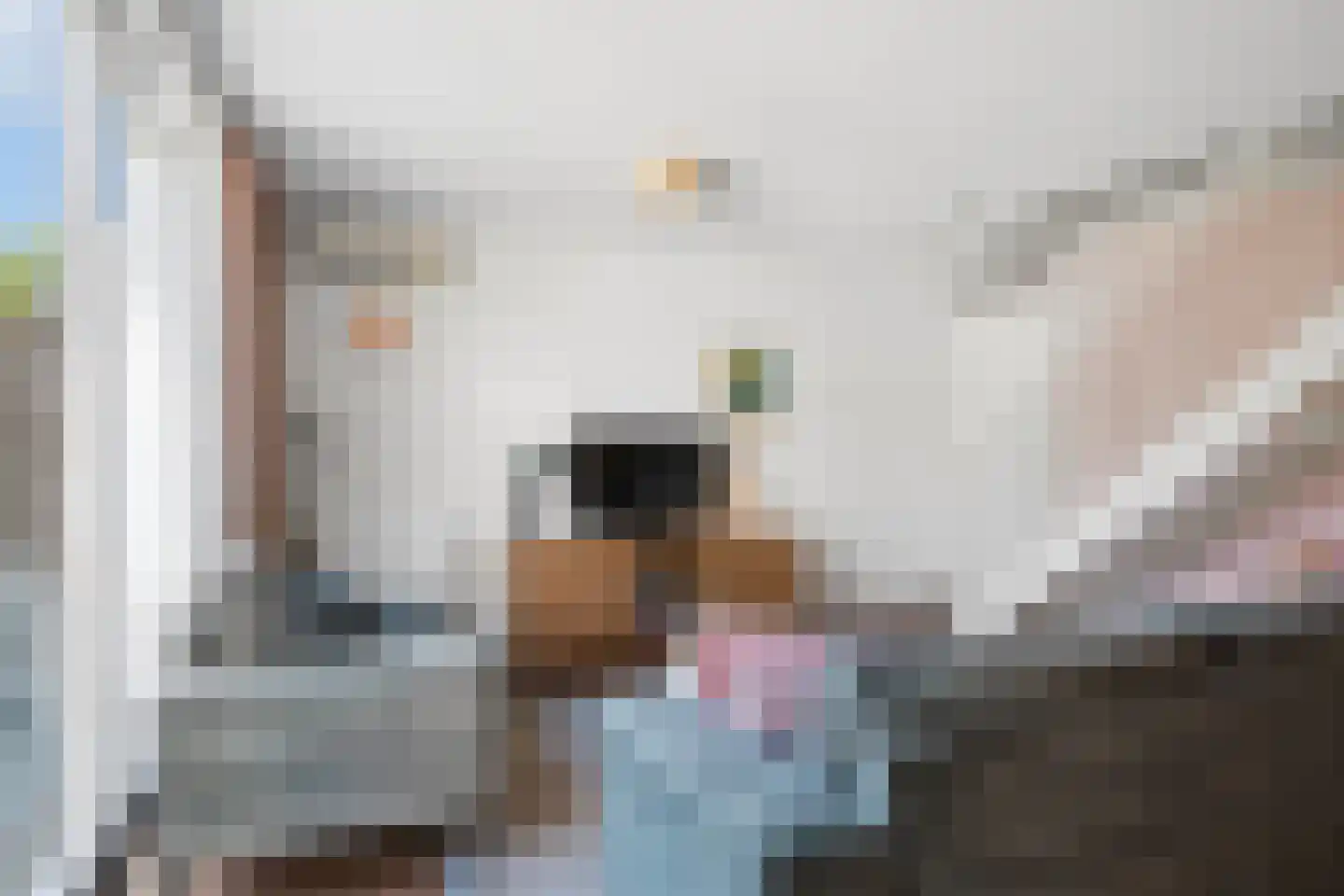 Schiphollaan 47 Tilburg thumbnail 9