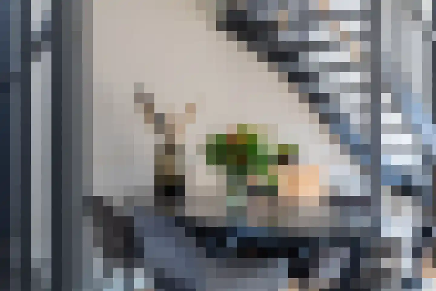 Schipholstraat 88 Rotterdam thumbnail 12