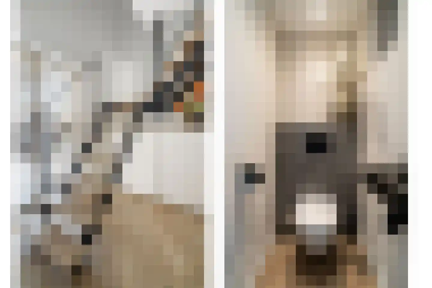 Schipholtstraat 223 Enschede thumbnail 14