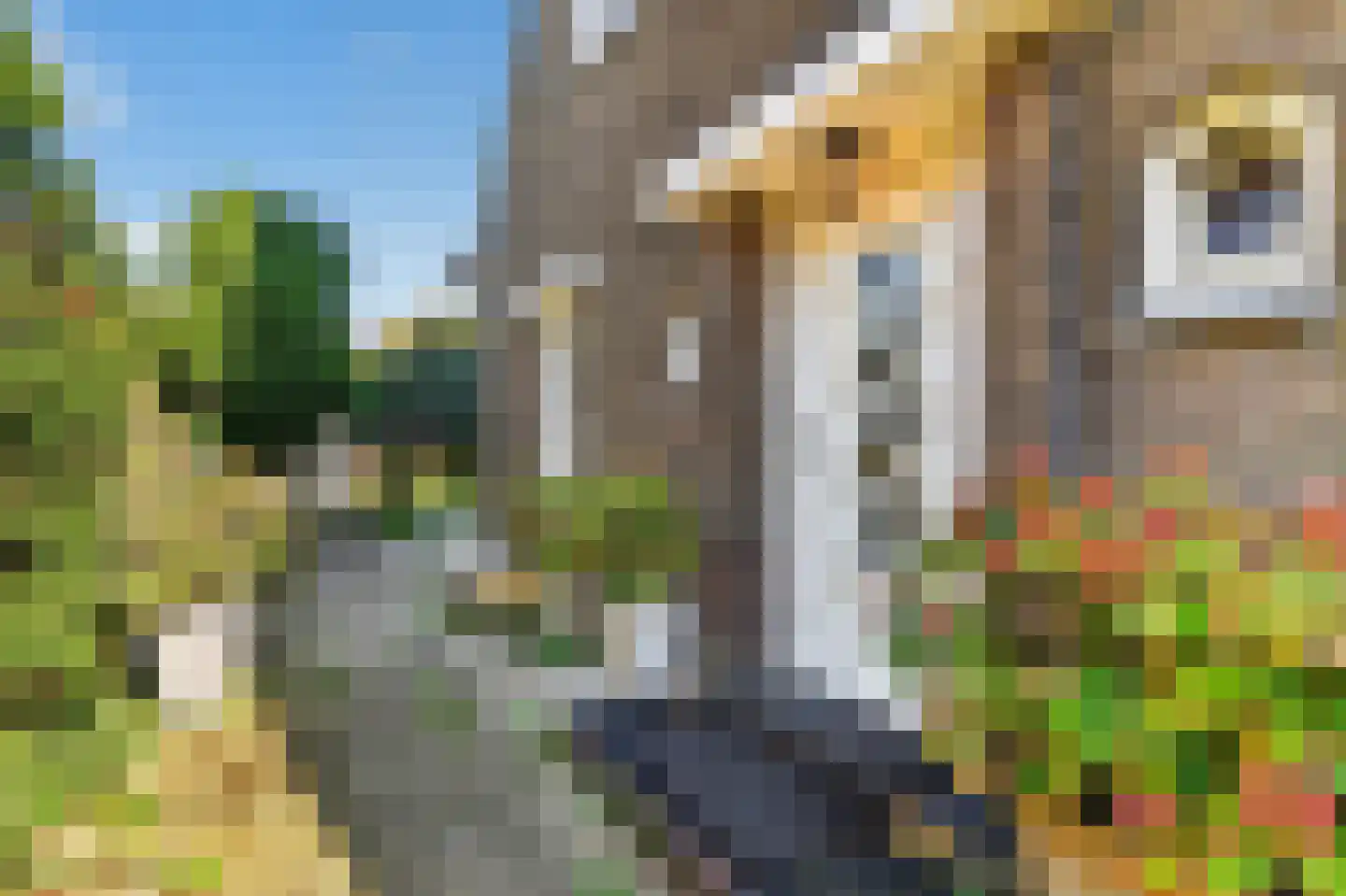 Schipholweg 387 Badhoevedorp thumbnail 6