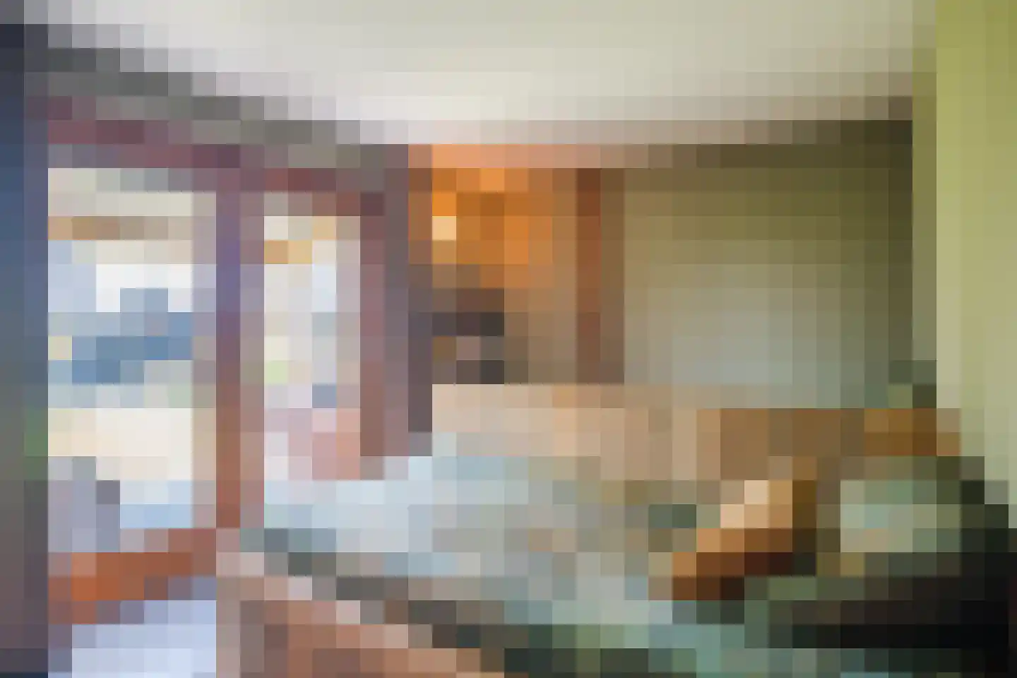 Schiphorsterstraat 16 Toldijk thumbnail 33