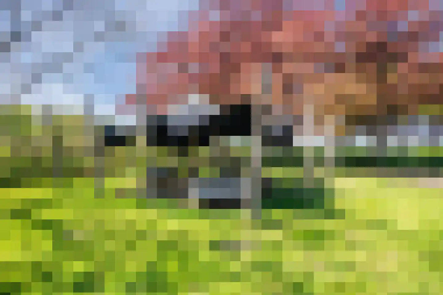 Schiphorsterstraat 16 Toldijk thumbnail 50