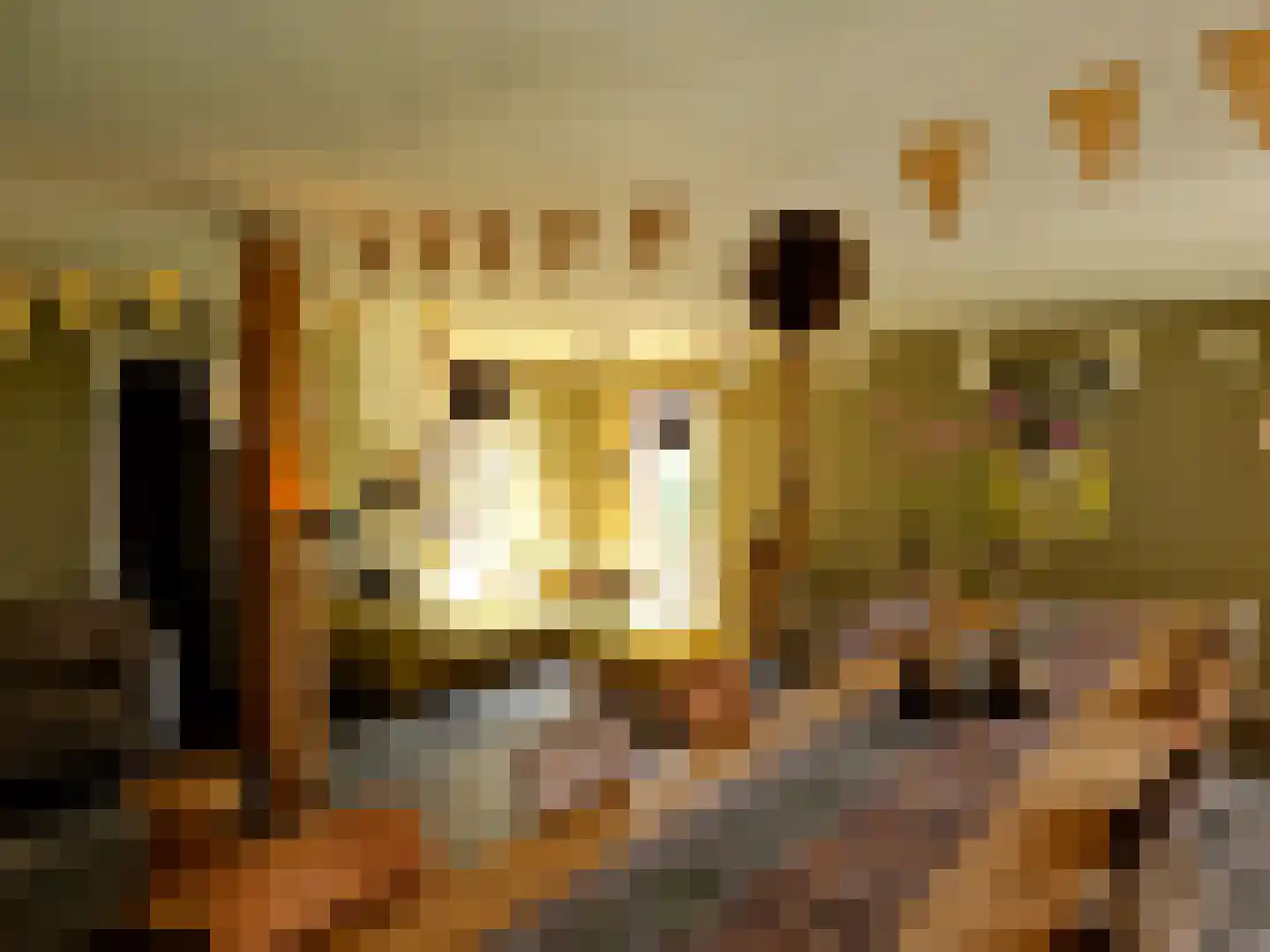 Schiphorsterstraat 16 Toldijk thumbnail 61