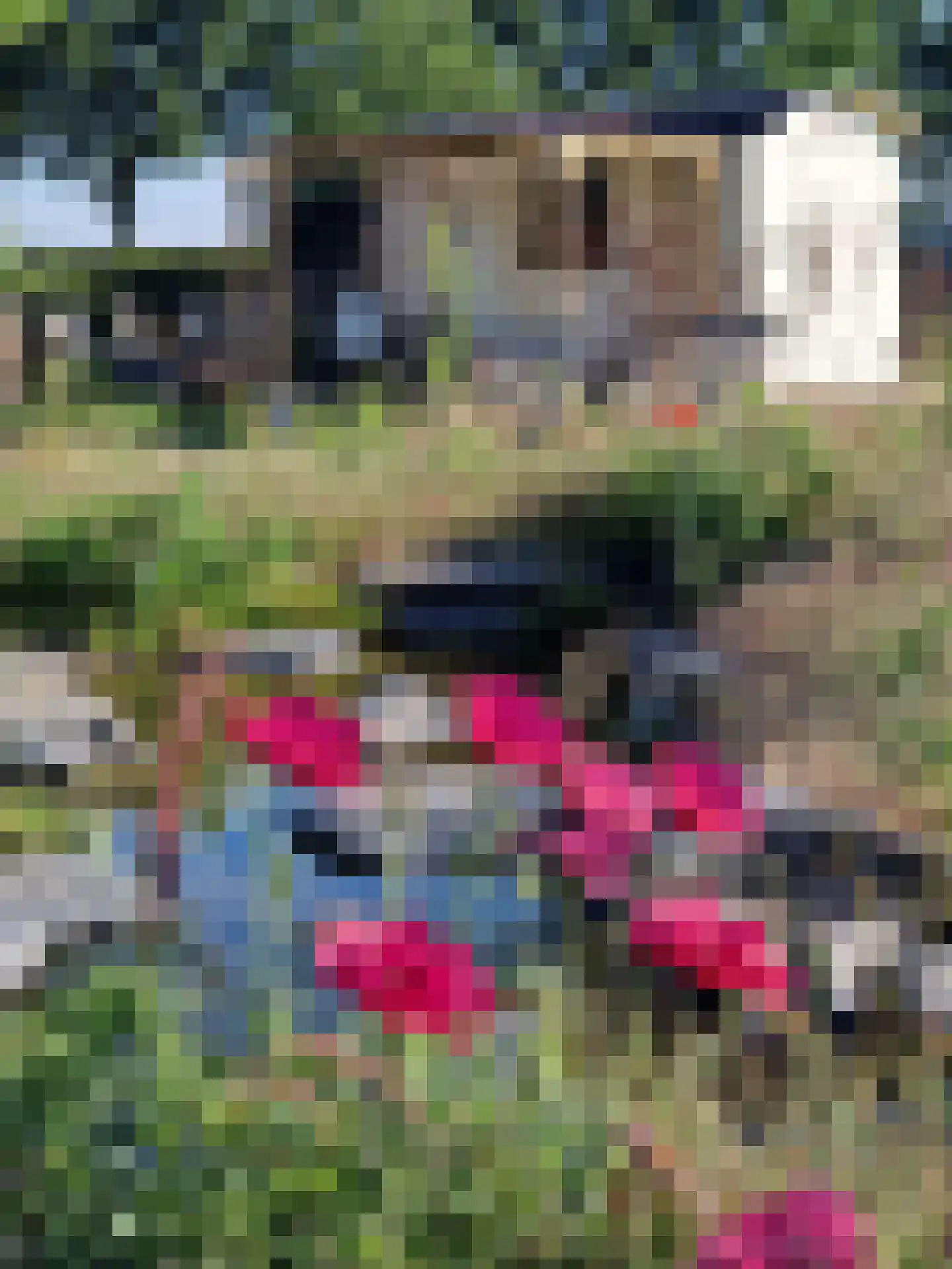 Schiphorsterstraat 16 Toldijk thumbnail 64