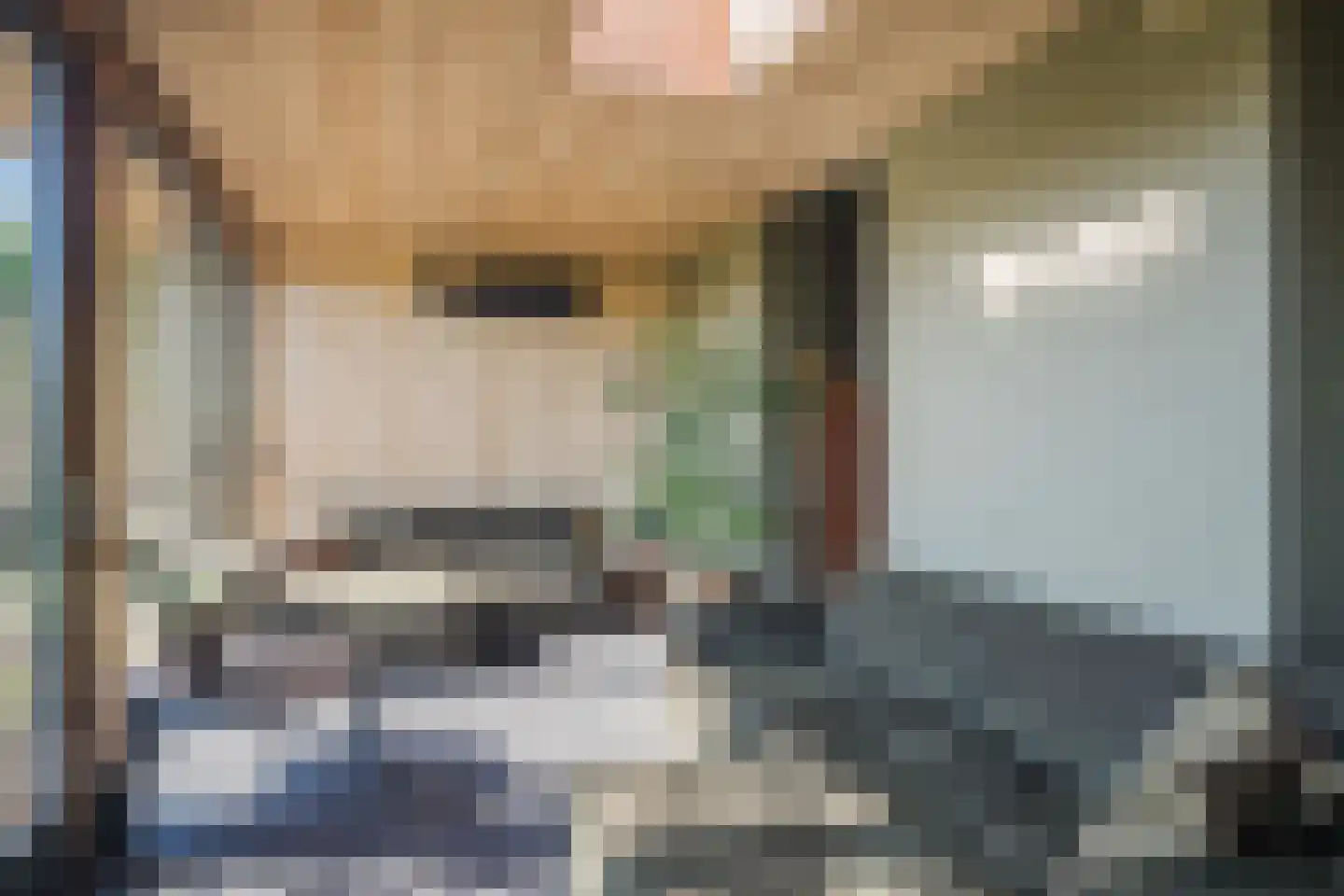 Schiphorsterstraat 16 Toldijk thumbnail 8