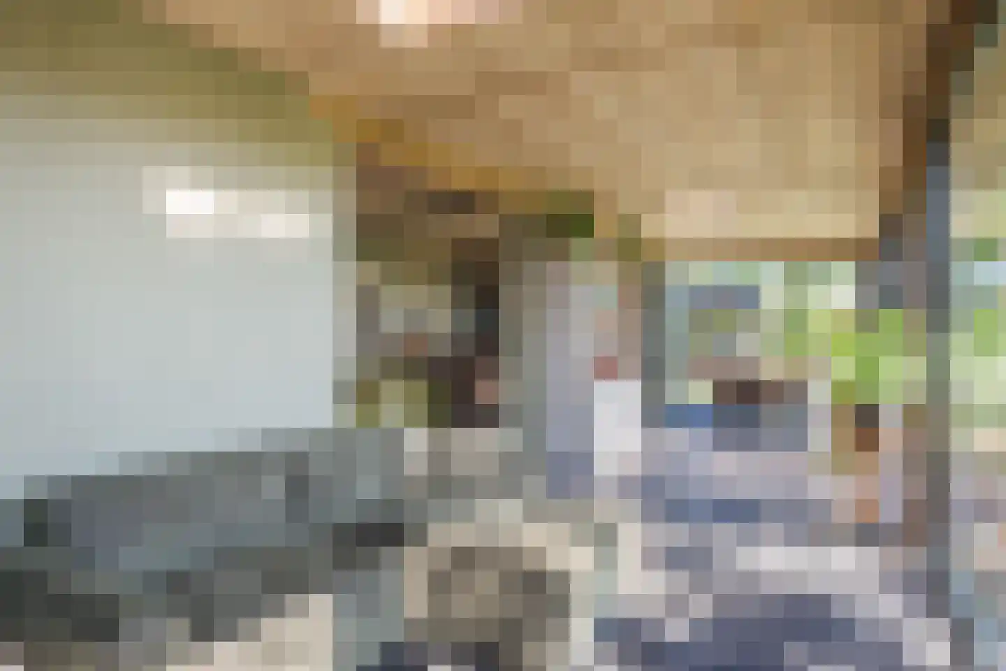 Schiphorsterstraat 16 Toldijk thumbnail 9