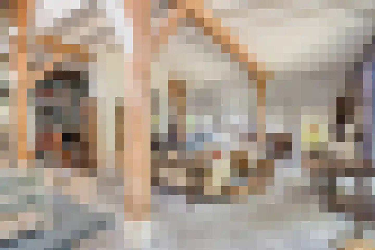 Schiphorsterstraat 3 Toldijk thumbnail 10