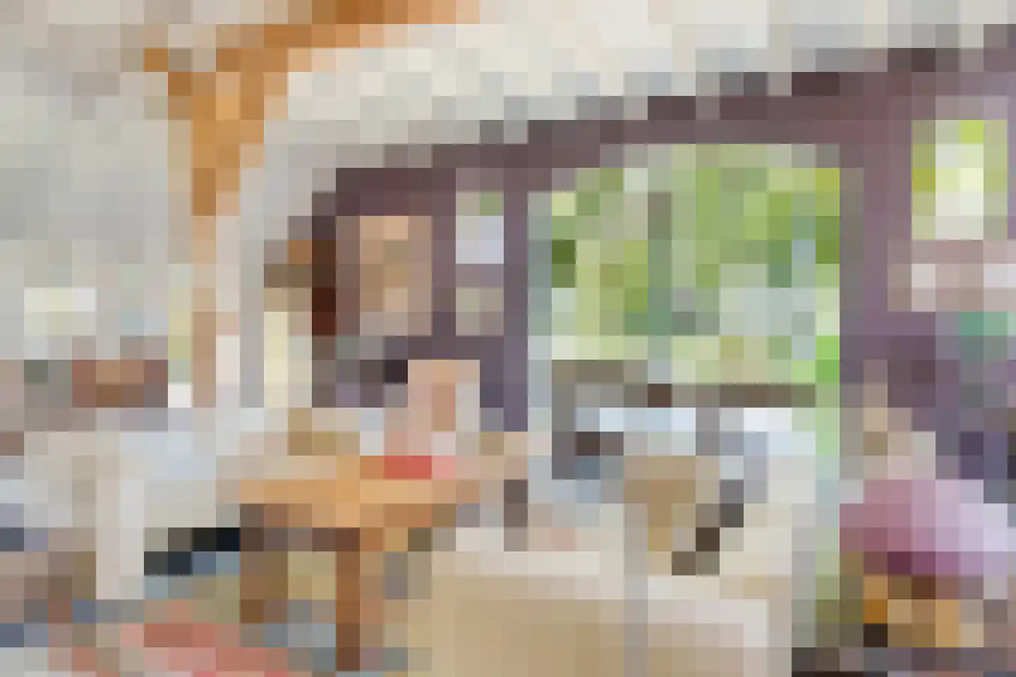 Schiphorsterstraat 3 Toldijk thumbnail 11