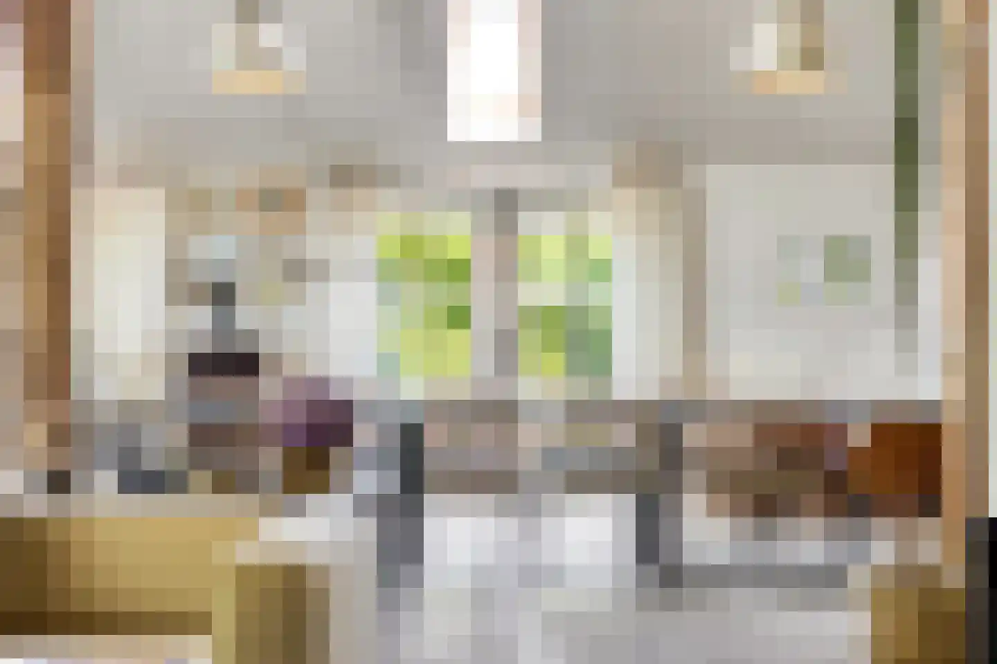 Schiphorsterstraat 3 Toldijk thumbnail 13