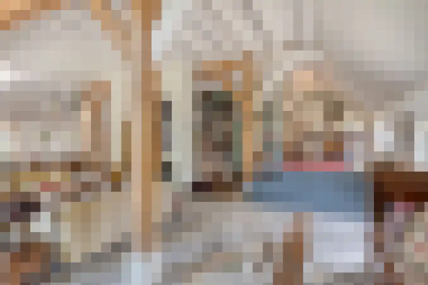 Schiphorsterstraat 3 Toldijk thumbnail 16