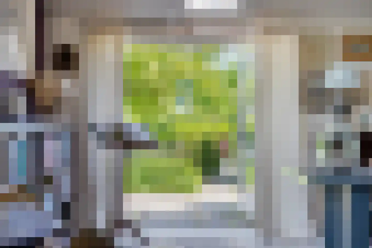 Schiphorsterstraat 3 Toldijk thumbnail 21