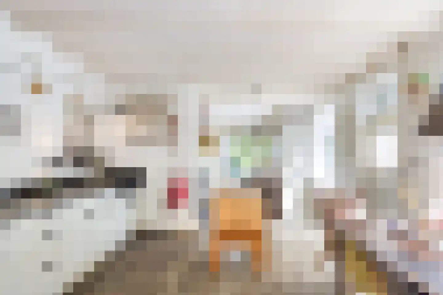 Schiphorsterstraat 3 Toldijk thumbnail 22