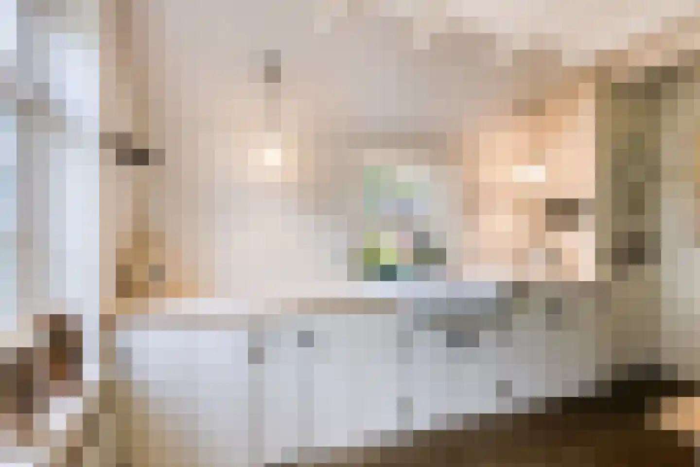 Schiphorsterstraat 3 Toldijk thumbnail 29