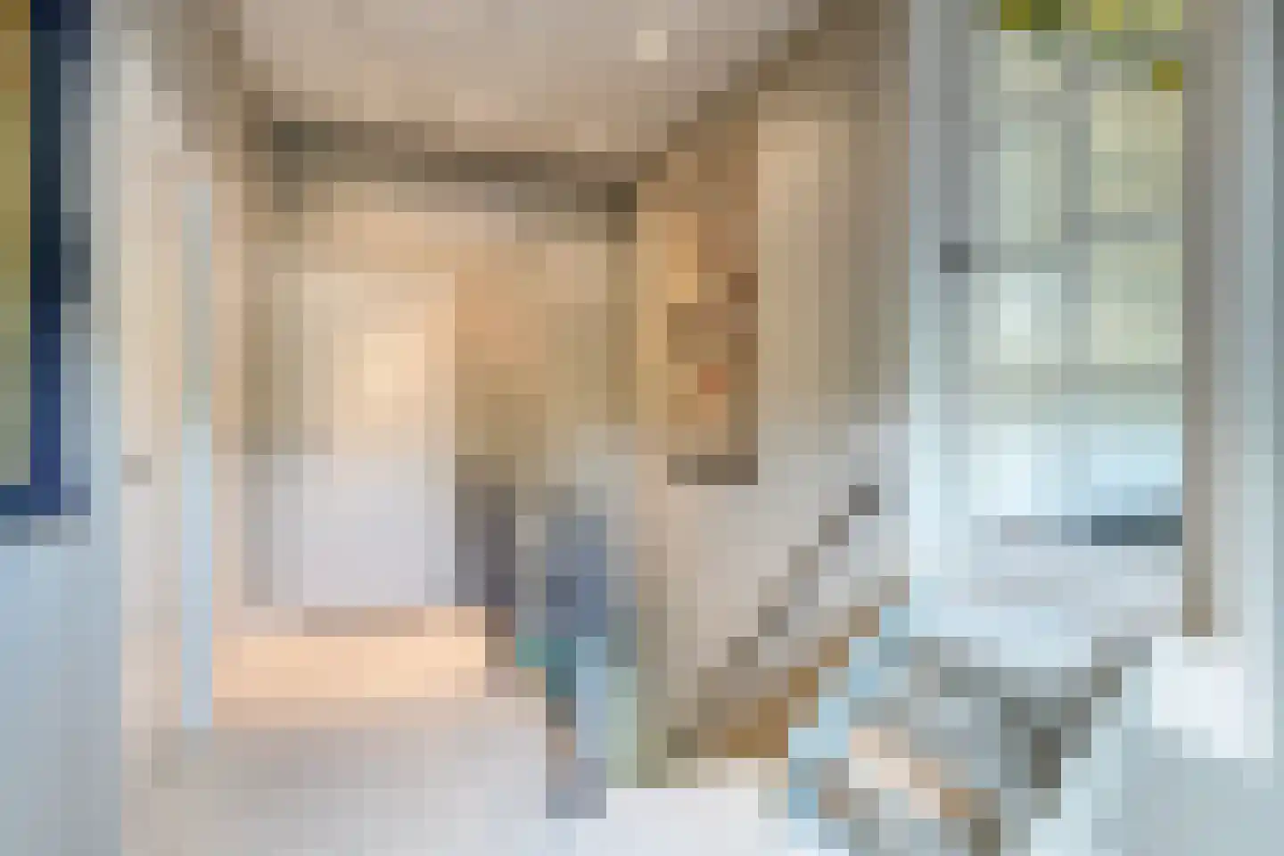 Schiphorsterstraat 3 Toldijk thumbnail 30