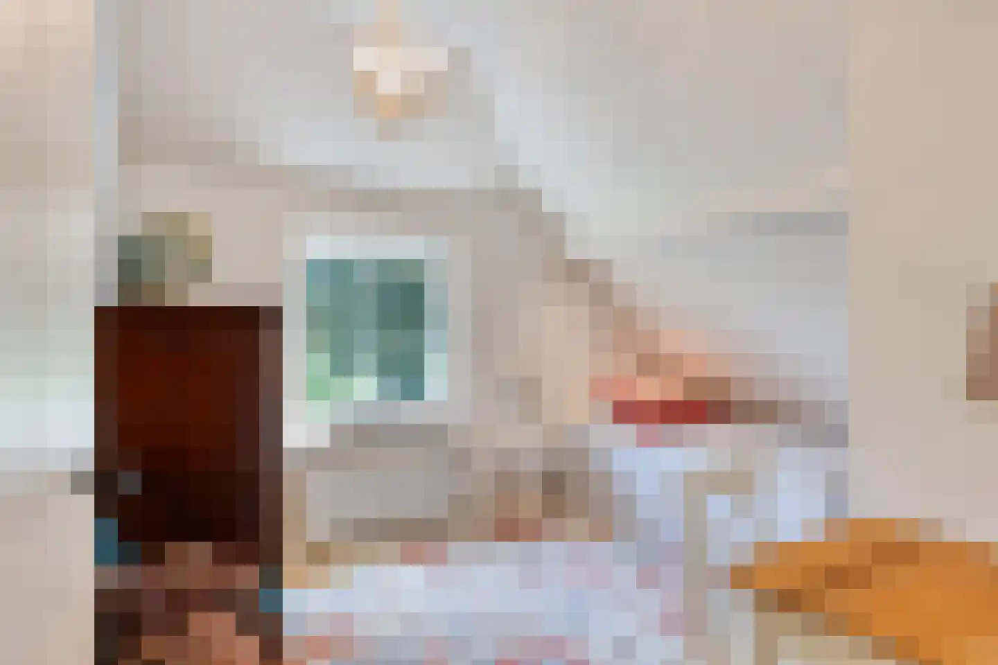 Schiphorsterstraat 3 Toldijk thumbnail 32