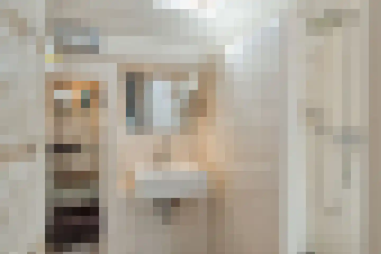 Schiphorsterstraat 3 Toldijk thumbnail 33