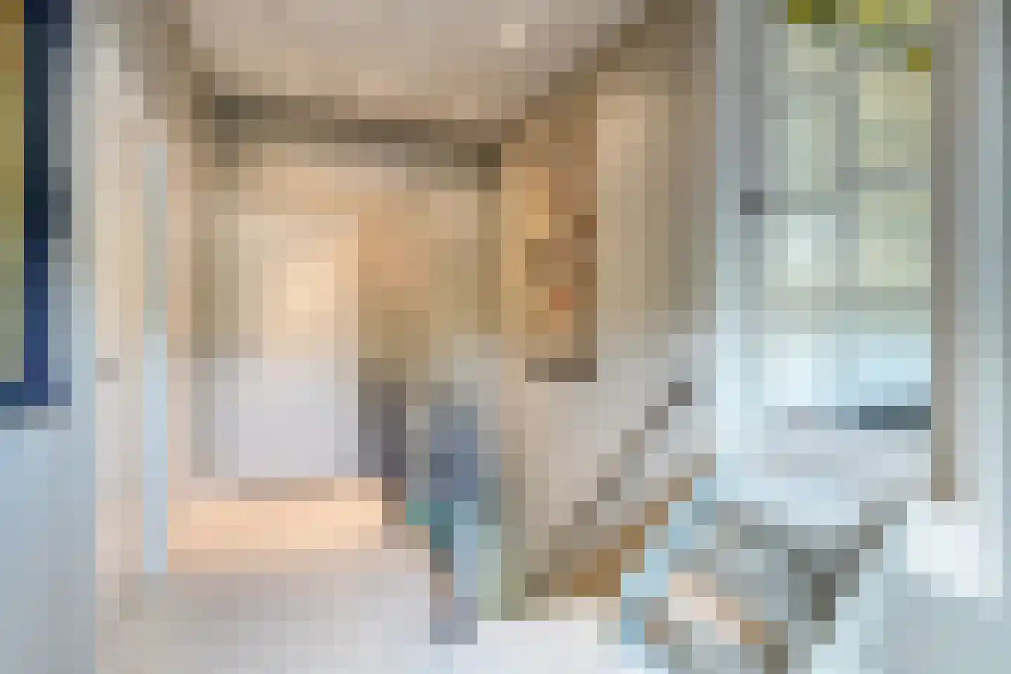 Schiphorsterstraat 3 Toldijk thumbnail 34