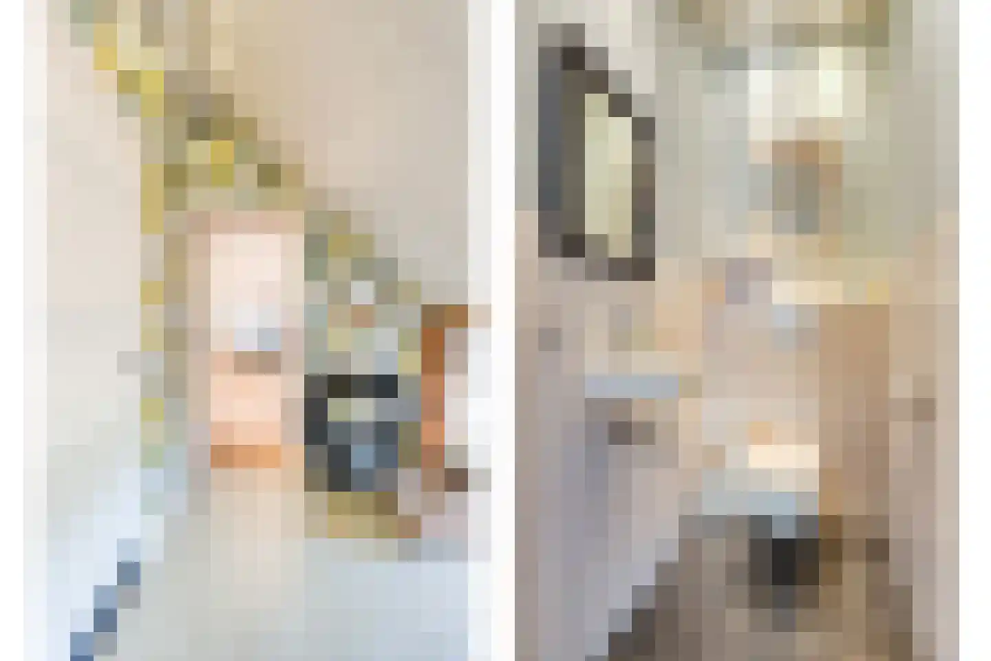 Schiphorsterstraat 3 Toldijk thumbnail 35