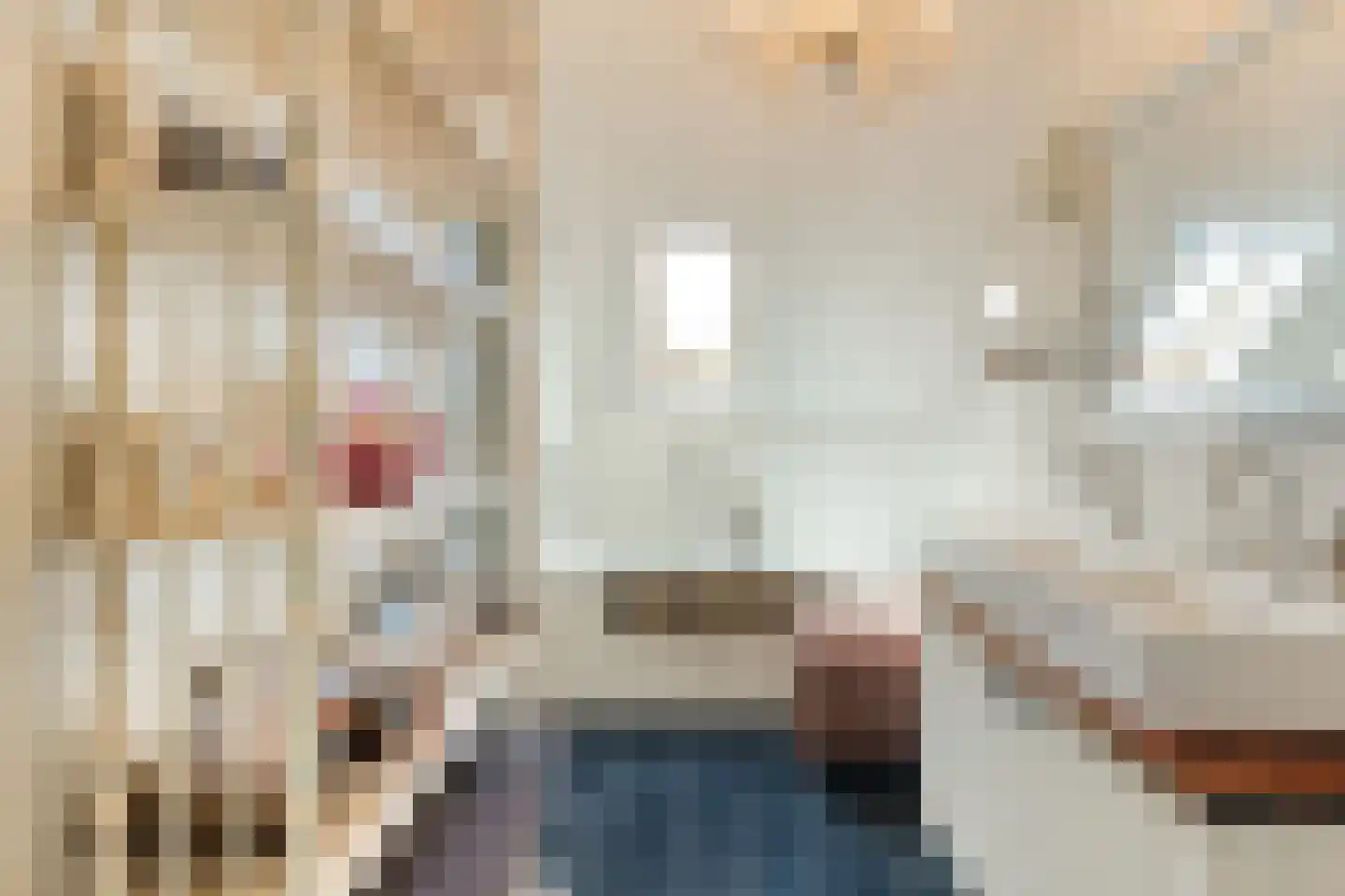 Schiphorsterstraat 3 Toldijk thumbnail 36