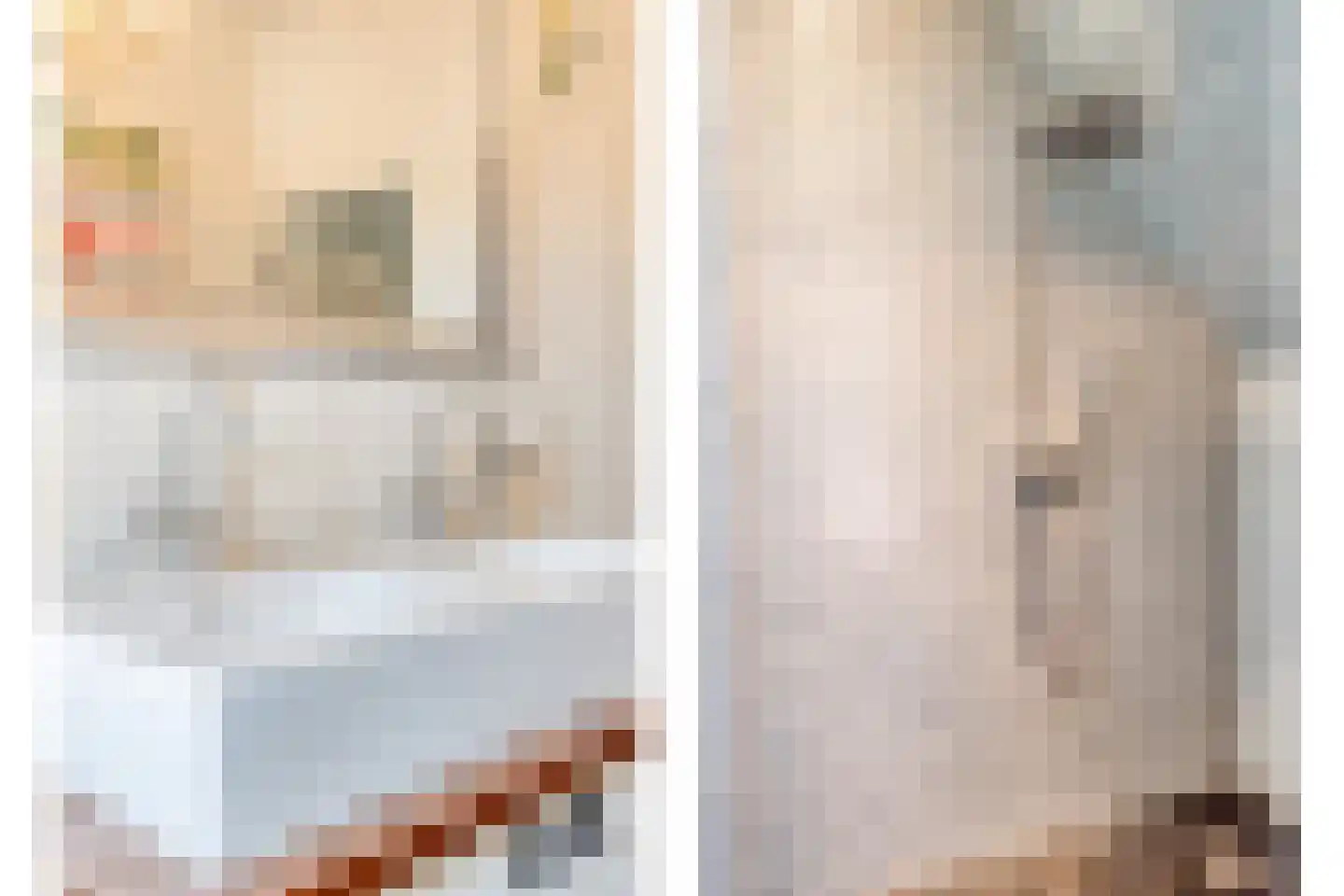 Schiphorsterstraat 3 Toldijk thumbnail 37