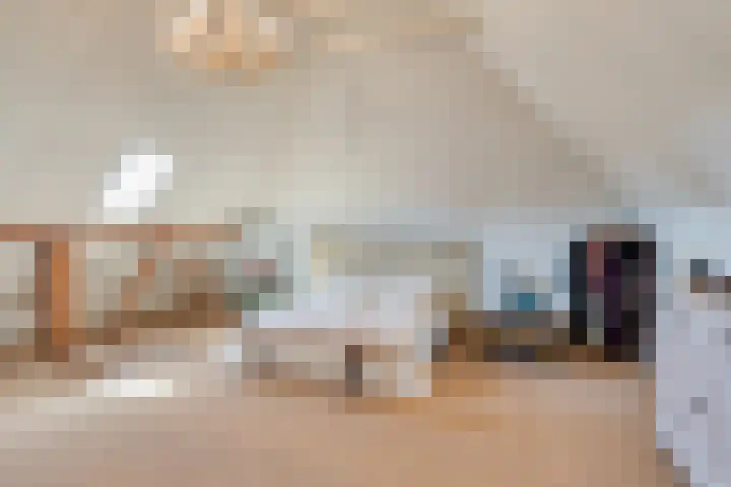 Schiphorsterstraat 3 Toldijk thumbnail 38