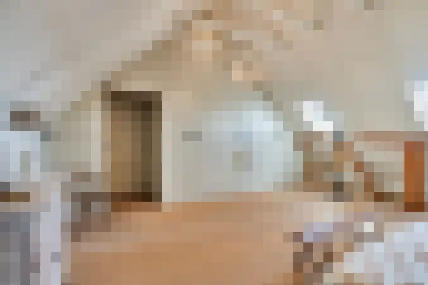 Schiphorsterstraat 3 Toldijk thumbnail 39